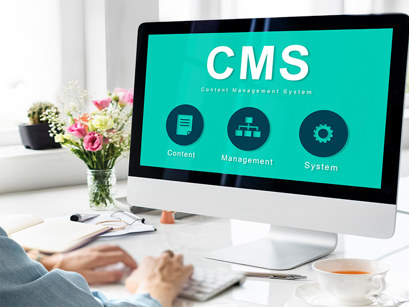 CMS Development